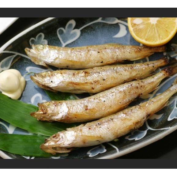 北海道産本ししゃも(オス20尾・メス10尾 ...