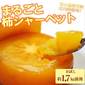 冷凍庄内柿 1.7kg 【まるごとシャーベット】