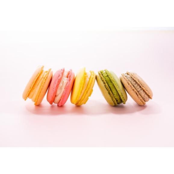 送料込み Patisserie Petit Ami マカロン10個入り 食伯楽の通販 お取り寄せなら ぐるすぐり