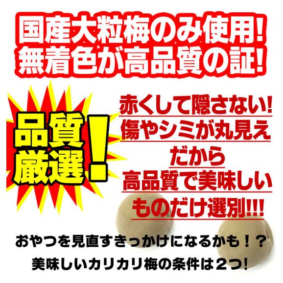 明治26年創業の老舗 あかぎのカリカリ梅 1g 2袋 元祖カリカリ梅 無着色 大粒国産梅使用 カリッとフルーティな塩味 100年企業 送料込み 食品 総合食品通販の通販 お取り寄せなら ぐるすぐり