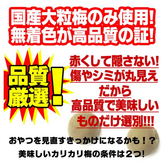 甘梅 1g 2袋 元祖カリカリ梅 無着色 大粒国産梅使用 きわだつ甘酸っぱさ 明治26年創業の老舗 100年企業 送料込み 食品 総合食品通販の通販 お取り寄せなら ぐるすぐり