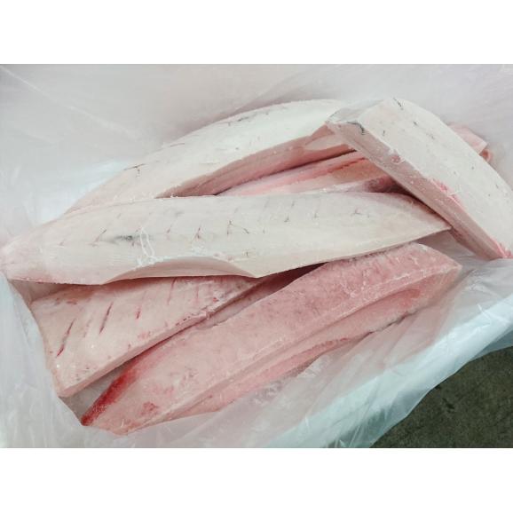 マグロ とろびんちょうまぐろ 5kg 冷凍 台湾等 水産フーズ 有限会社 水産フーズへの注文 仕入なら ぐるなび仕入モール