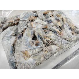 【海老】究極の刺身 天使の海老 1kg 30-40尾 冷凍〈ニューカレドニア〉水産フーズ