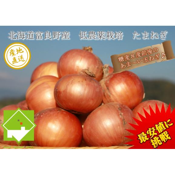 たまねぎ 北海道富良野産 低農薬で生でもあま い 玉葱 3kg 送料無料 スイートベジタブルファクトリーの通販 お取り寄せなら ぐるすぐり たまねぎ 北海道富良野産 低農薬で生でもあま い 玉葱 3kg 送料無料 スイートベジタブルファクトリーの通販 お取り寄せなら ぐるすぐり