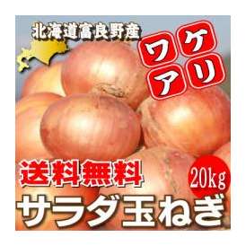 【送料無料】訳あり！北海道富良野産　低農薬で生でもあま～い　サラダ玉葱（たまねぎ）　20ｋｇ
