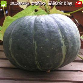 北海道富良野産　南瓜（かぼちゃ）　栗ゆたか　５ｋｇ（２から４玉入り）