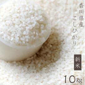 米 穀類 香川県の商品一覧 通販 お取り寄せ 販売 ぐるすぐり