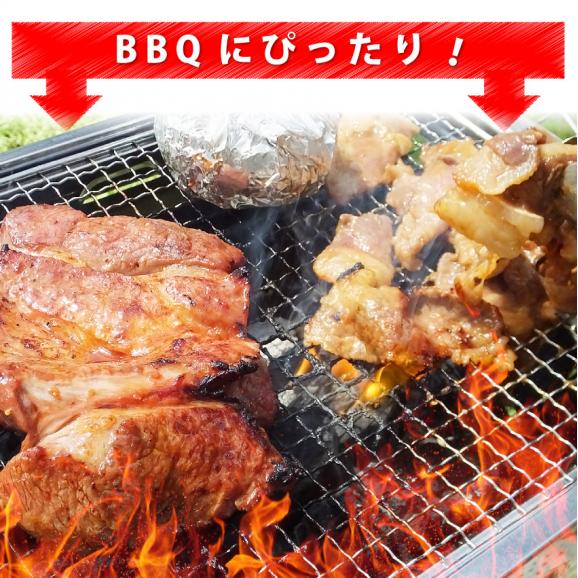 【冷凍】牛ハラミステーキ（タレ漬け）250g【 BBQ バーベキュー タレ 秘伝 焼肉 やきにく ハラミ 】02