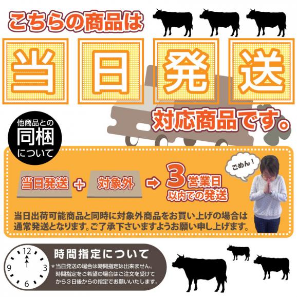 【冷凍】牛ハラミステーキ（タレ漬け）250g【 BBQ バーベキュー タレ 秘伝 焼肉 やきにく ハラミ 】03