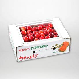 やまのべ多田耕太郎の紅姫(バラ詰・B級品)L500g