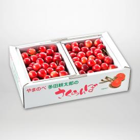 やまのべ多田耕太郎の紅姫(バラ詰・B級品)L500g×2