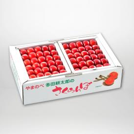 やまのべ多田耕太郎の紅姫(本詰)2L約500g×2