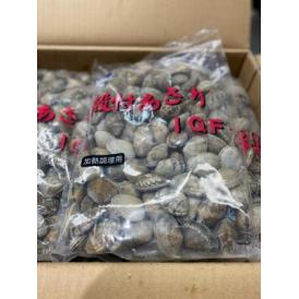 生冷凍殻付アサリ砂抜10㎏　IQF　Mサイズ120-160
