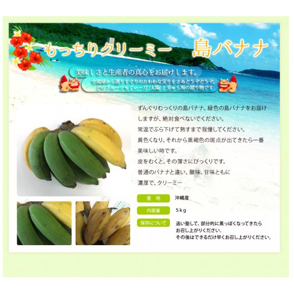島バナナわけあり約3ｋｇ 発送時期７月上旬 １0月上旬 沖縄たま青果の通販 お取り寄せなら ぐるすぐり