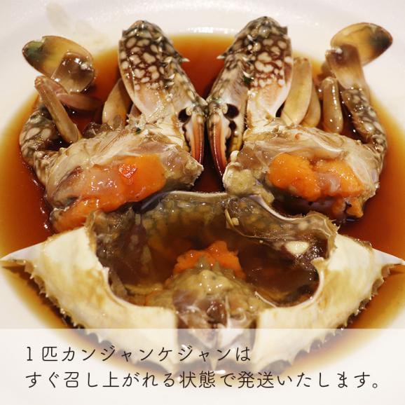 一匹カンジャンケジャン 1杯 韓国伝統活魚専門店 テジョンデの通販 お取り寄せなら ぐるすぐり 一匹カンジャンケジャン 1杯 韓国伝統活魚専門店 テジョンデの通販 お取り寄せなら ぐるすぐり