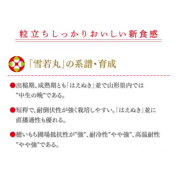 送料無料 令和元年産 山形県産雪若丸精米5kg 一部地域は別途送料追加 株式会社 ジェイエイてんどうフーズの通販 お取り寄せなら ぐるすぐり 送料無料 令和元年産 山形県産雪若丸精米5kg 一部地域は別途送料追加 株式会社 ジェイエイてんどうフーズの通販 お取り寄せなら ぐるすぐり