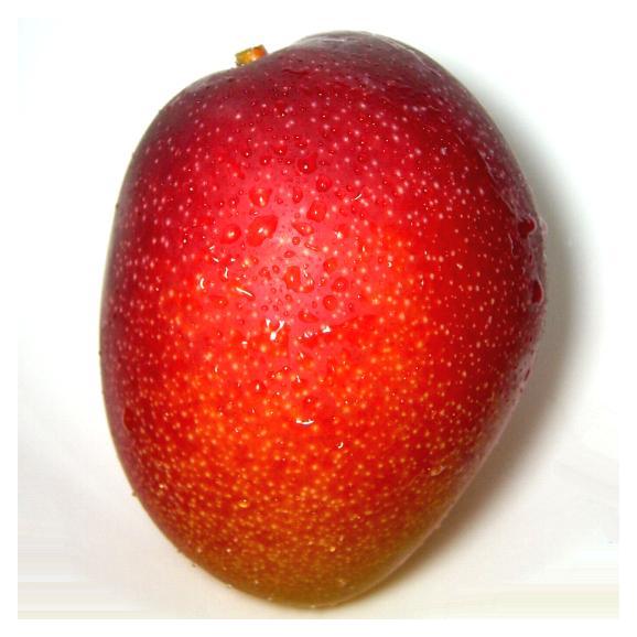 宮崎特産 高級 完熟マンゴー 大玉 4l 1玉 化粧箱入り 京の老舗の果物屋 鳥羽伊三の通販 お取り寄せなら ぐるすぐり