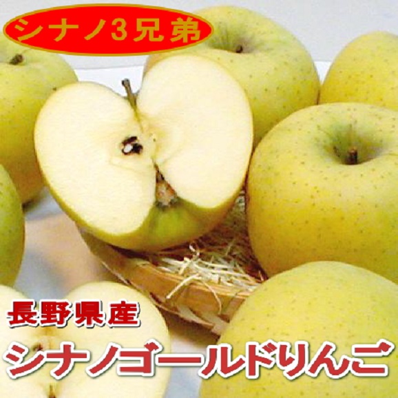 【送料無料】長野産訳あり シナノゴールドリンゴ　 5kg02