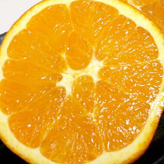 ネーブルオレンジ　16個入り01