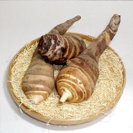 ブランド野菜の商品一覧 通販 お取り寄せ 販売 ぐるすぐり