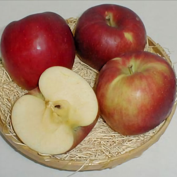 紅玉リンゴ（こうぎょくりんご） 5kg 小玉23～25個入り　青森 長野産　アップル03