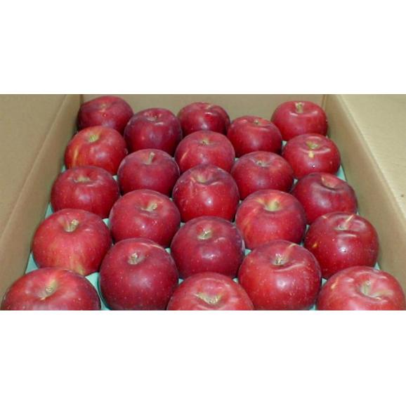 紅玉リンゴ（こうぎょくりんご） 5kg 小玉23～25個入り　青森 長野産　アップル04