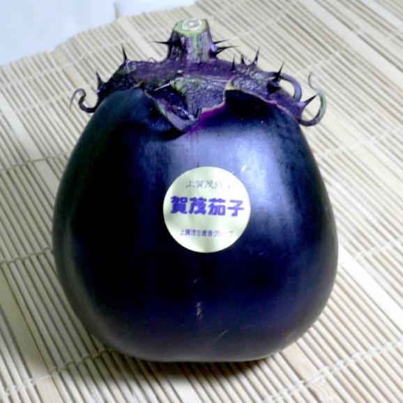最大15%OFFクーポン 京都の伝統野菜 賀茂茄子 tepsa.com.pe