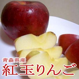 紅玉リンゴ（こうぎょくりんご）約10kg 小玉 56～66個入り 青森 長野産 アップル