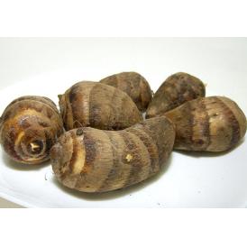 京都産 小さい 海老芋「こえびちゃん」約300ｇ袋（5～8個入り）