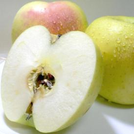 長野産 あづみの高原の 名月リンゴ（めいげつりんご）約5kg 中玉 18〜20個入り