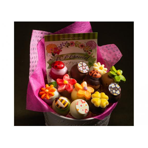 ポップショコラ詰め合わせ12本 株式会社 時之栖 手づくり工房の通販 お取り寄せなら ぐるすぐり