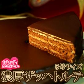 ザッハトルテ ケーキ チョコレートケーキ　送料無料/冷凍便