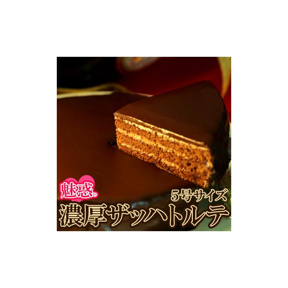 ザッハトルテ ケーキ チョコレートケーキ 送料無料 冷凍便 北海道とれたて本舗の通販 お取り寄せなら ぐるすぐり