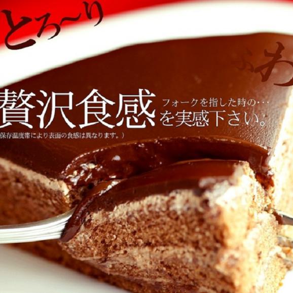 ザッハトルテ ケーキ チョコレートケーキ 送料無料 冷凍便 北海道とれたて本舗の通販 お取り寄せなら ぐるすぐり