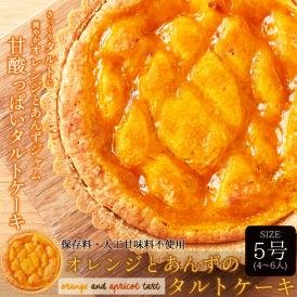 オレンジ と あんず の タルト ケーキ5号 甘酸っぱい味わいと香ばしいタルト生地が絶妙!!ネコポス