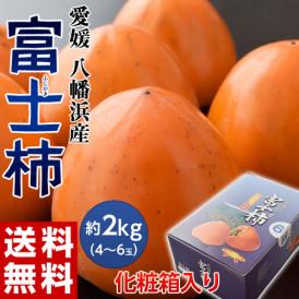 『富士柿』 愛媛県産 約2kg（4～6玉）化粧箱入り ※常温　送料無料