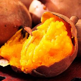 安納芋 芋 いも 種子島産 循環型農法 安納紅芋 正規品 約5kg 送料無料