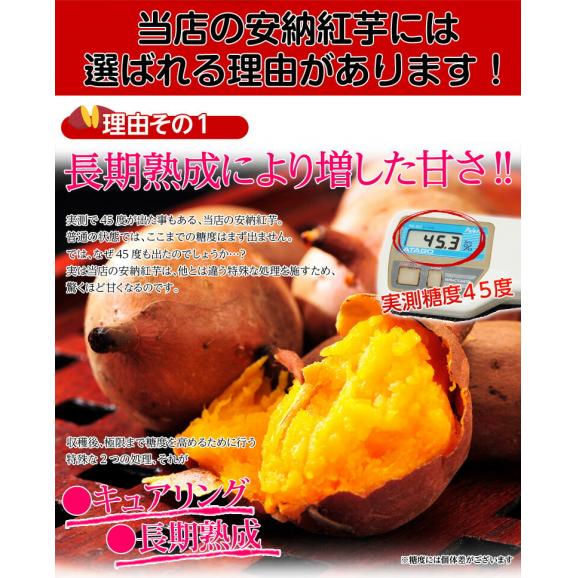 安納芋 芋 いも 種子島産 循環型農法 安納紅芋 正規品 約5kg 送料無料02