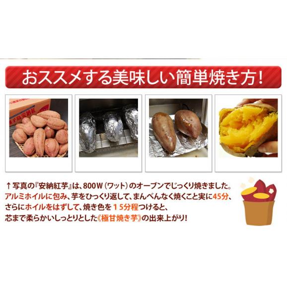 安納芋 芋 いも 種子島産 循環型農法 安納紅芋 正規品 約5kg 送料無料06