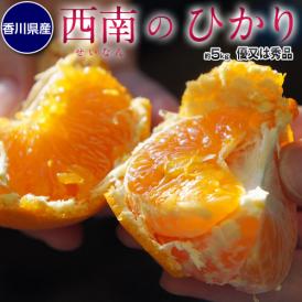 『西南のひかり』 香川県産 柑橘　約5kg 秀～優品 S～2Lサイズ ※常温　送料無料