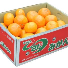 JAからつ『津之輝（つのかがやき）』 佐賀県産 柑橘 2S～2Lサイズ 風袋込 約5kg（22～60玉） 産地箱入 ※常温※送料無料