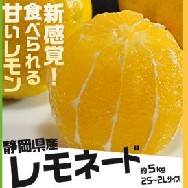 甘いレモン 柑橘 静岡県産 レモネード 約5kg 2S～2Lサイズ 常温 送料無料
