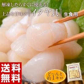 貝 かい カイ イタヤ貝 生冷 1キロ Lサイズ（201～300粒） おさしみ おつまみ 天ぷら 冷凍同梱可能 送料無料
