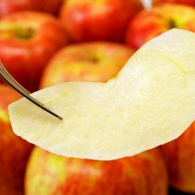 葉とらずりんご『サンつがる』青森県産 岩木山りんご生産出荷組合 約3kg（7～15玉入）産地箱 ※冷蔵 送料無料