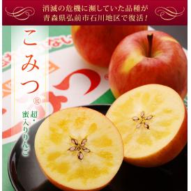 蜜入りりんご　『こみつ』　青森県石川地区産　 約2kg　(6～12玉) ※常温 【4箱まで送料一口】