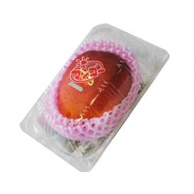  JAおきなわ『マンゴー』 沖縄県産マンゴー 1玉 L～2Lサイズ （1玉約310g） 簡易包装 ※常温 送料無料