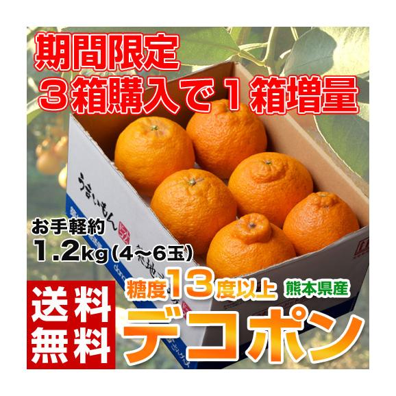 【3箱同時購入で1箱増量】デコポン 熊本県産 約1.2kg 4～6玉 送料無料 熊本デコポン01