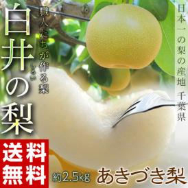 梨 なし 千葉県産 白井の梨 あきづき 約2.5kg 6～9玉 1箱 冷蔵 送料無料