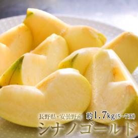 長野県安曇野産 りんご『シナノゴールド』 約1.7kg 風袋込み（5～7玉）産地箱 ※常温 送料無料
