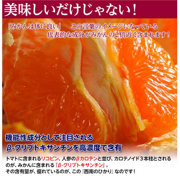 みかん 柑橘 訳あり品 香川県産 西南のひかり 約5kg (M～3L) 送料無料04